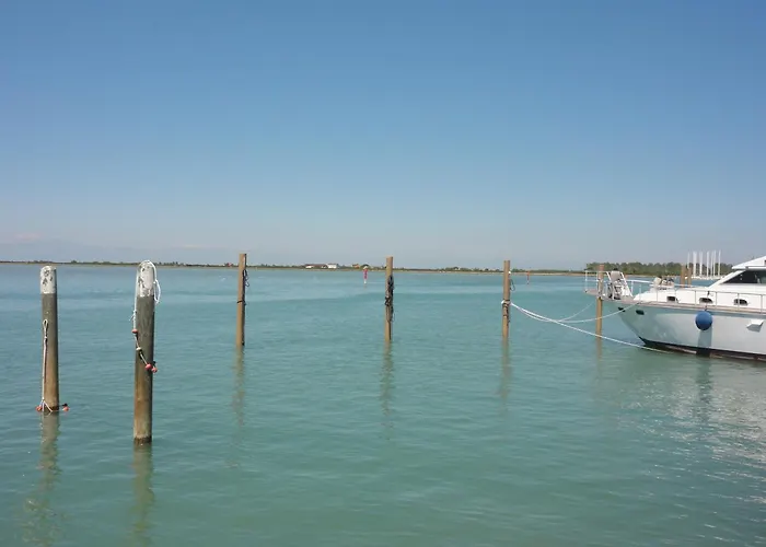 Naonis - * ביביונה