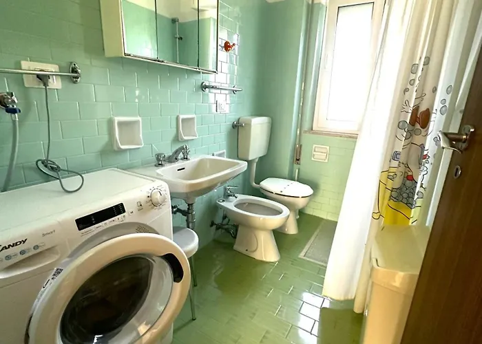 Naonis - * ביביונה