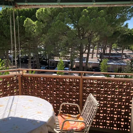 Naonis - 비비오네